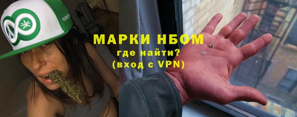 хмурый Осинники