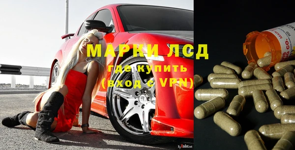 хмурый Осинники