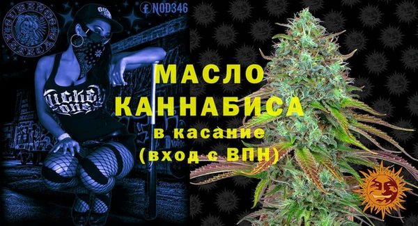 хмурый Осинники