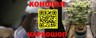 гидропоника Гай