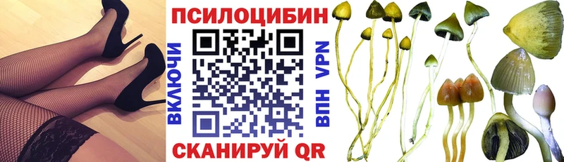 Псилоцибиновые грибы GOLDEN TEACHER  купить  цена  Холмск 